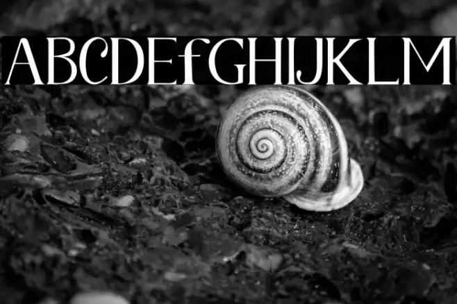 Fetance Font examples