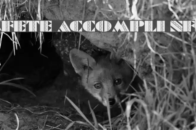 Fete Accompli NF Polices examples