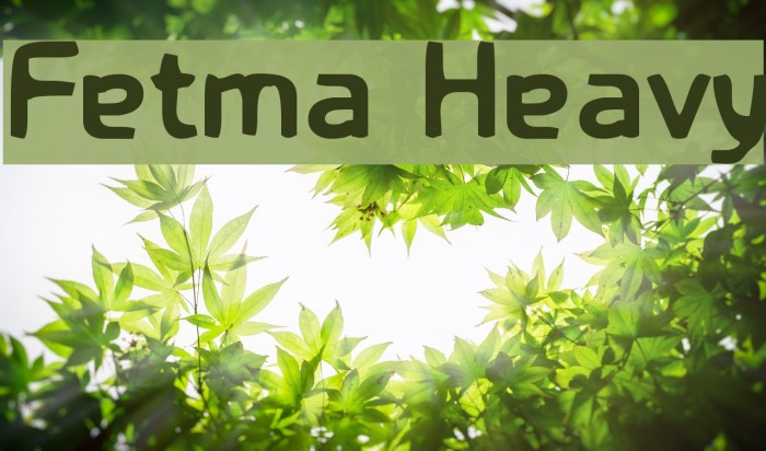 Fetma Heavy Font examples