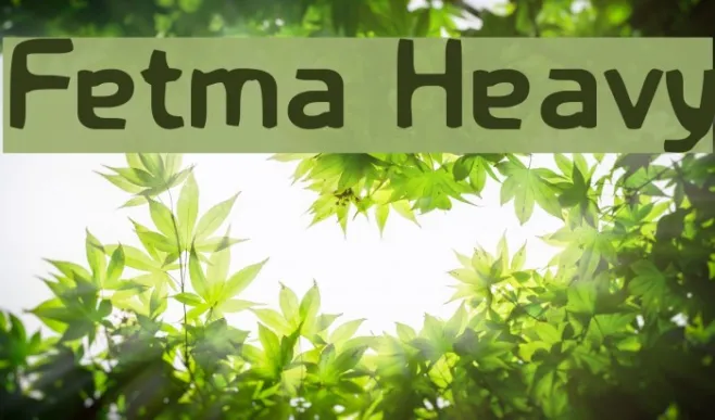 Fetma Heavy Example 2