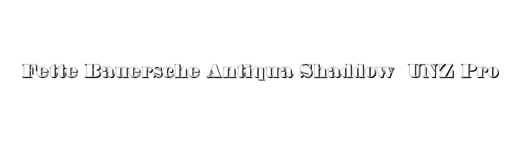 Fette Bauersche Antiqua Shaddow  UNZ Pro  baixar fontes gratis