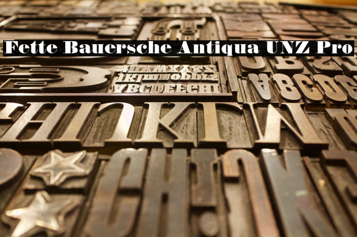 Fette Bauersche Antiqua UNZ Pro Example 1