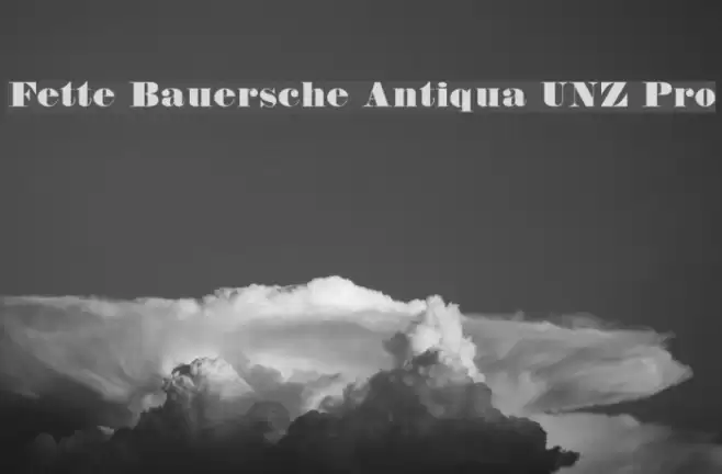 Fette Bauersche Antiqua UNZ Pro Font examples