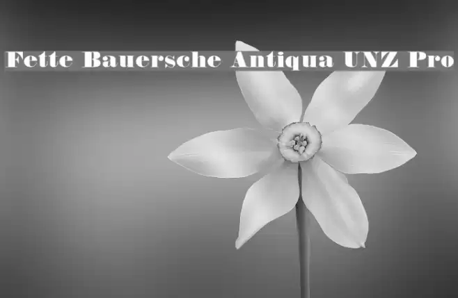 Fette Bauersche Antiqua UNZ Pro Font examples