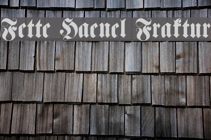 Fette Haenel Fraktur Font examples