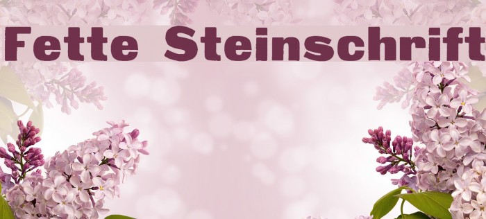 Fette Steinschrift Example 2