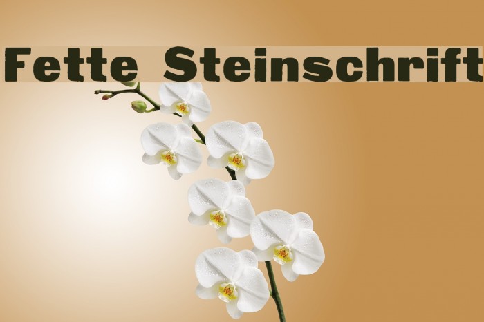 Fette Steinschrift Example 3