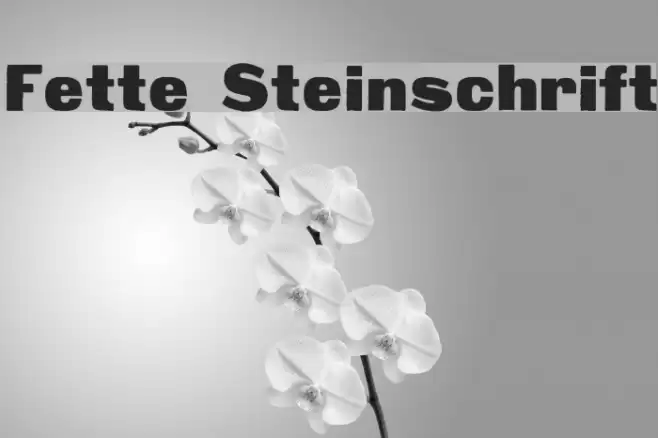 Fette Steinschrift Font examples