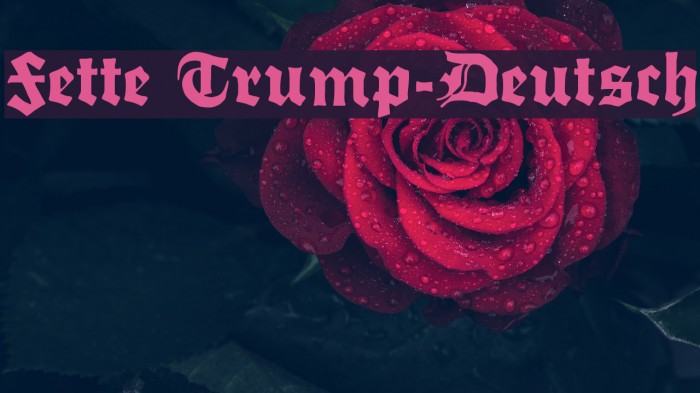 Fette Trump-Deutsch Font examples