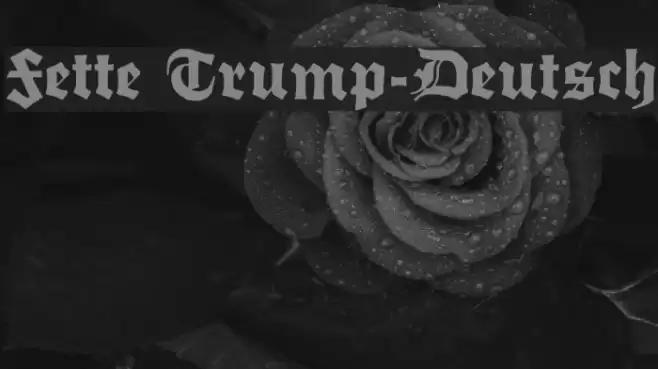 Fette Trump-Deutsch Fonte examples