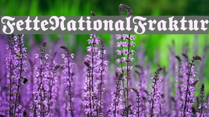 FetteNationalFraktur Font examples