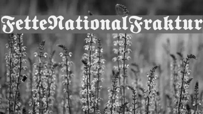 FetteNationalFraktur フォント examples