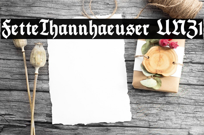 FetteThannhaeuser UNZ1 Font examples