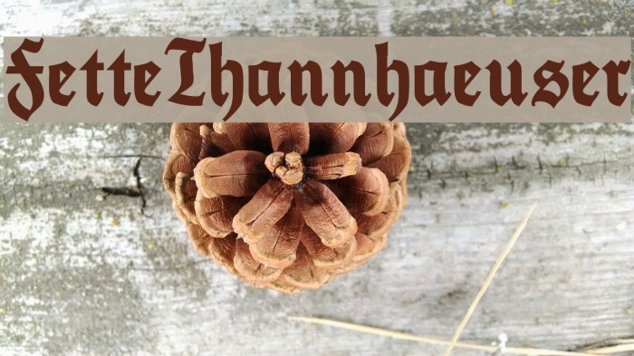 FetteThannhaeuser Font examples