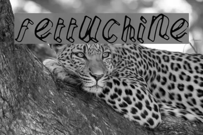 Fettuchine Font examples