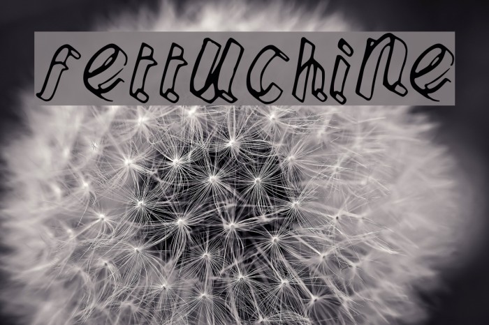 Fettuchine Font examples