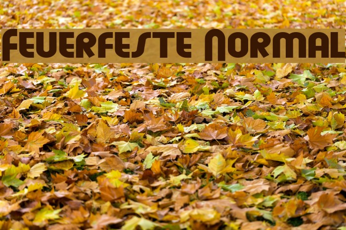 Feuerfeste Normal لخطوط تنزيل examples