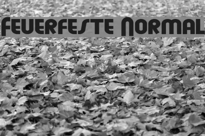Feuerfeste Normal Font examples