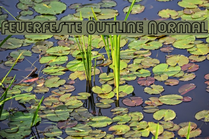 Feuerfeste Outline Normal لخطوط تنزيل examples