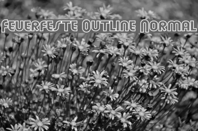 Feuerfeste Outline Normal خط examples