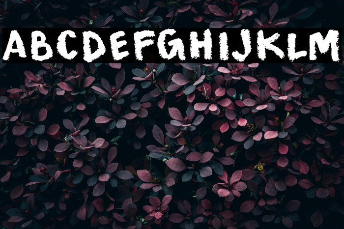 Fewer Looks Example 1