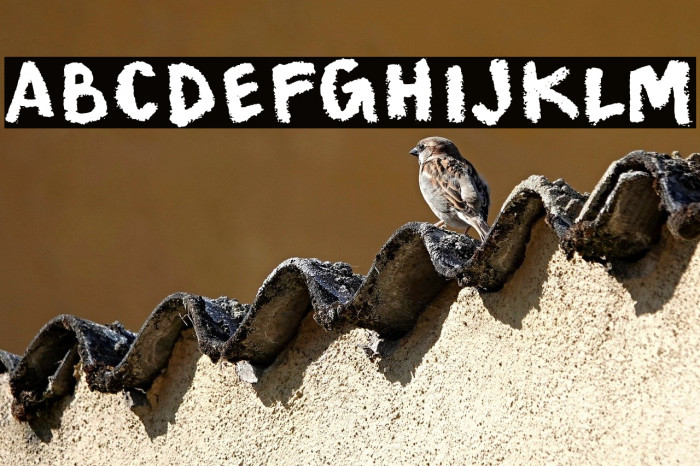 Fewer Looks Example 3