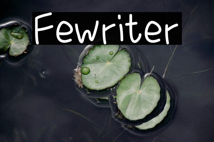 Fewriter Example 2