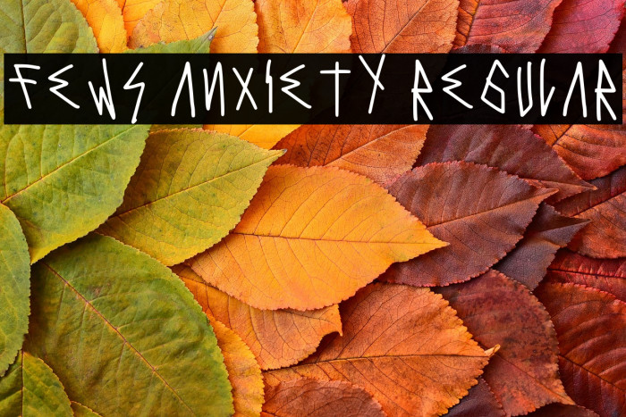 Fews Anxiety Regular Example 3