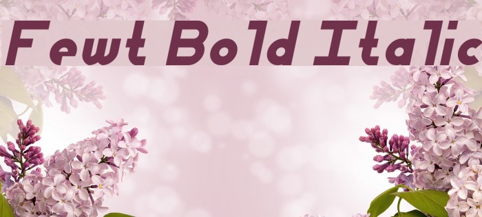 Fewt Bold Italic Шрифта examples