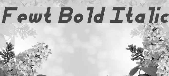 Fewt Bold Italic Font examples
