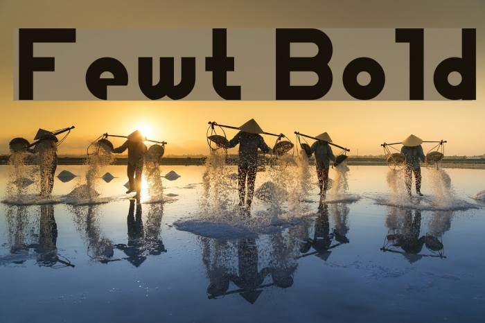 Fewt Bold Fuentes examples
