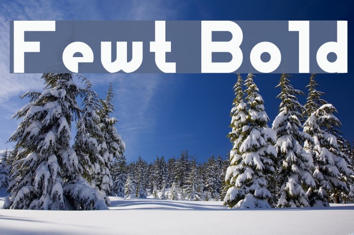 Fewt Bold Fuentes examples
