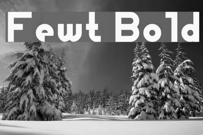 Fewt Bold Font examples