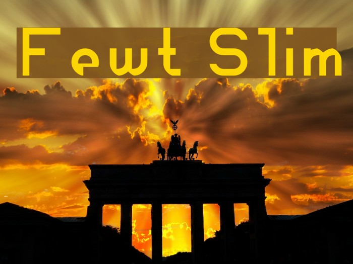 Fewt Slim Font examples
