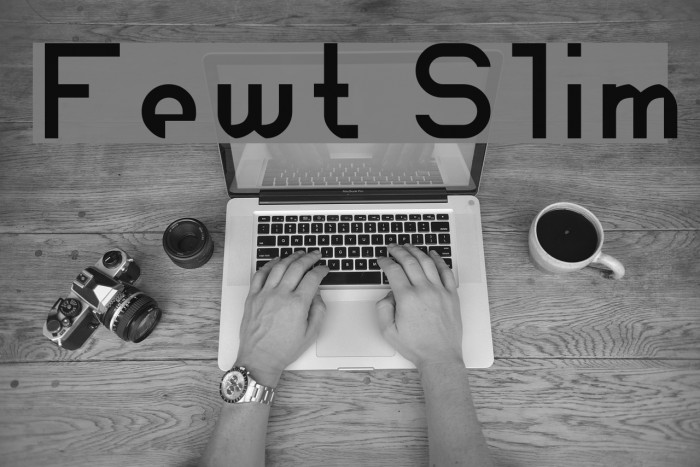 Fewt Slim Font examples