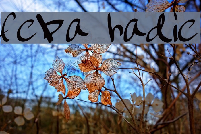 february handwritten Font examples
