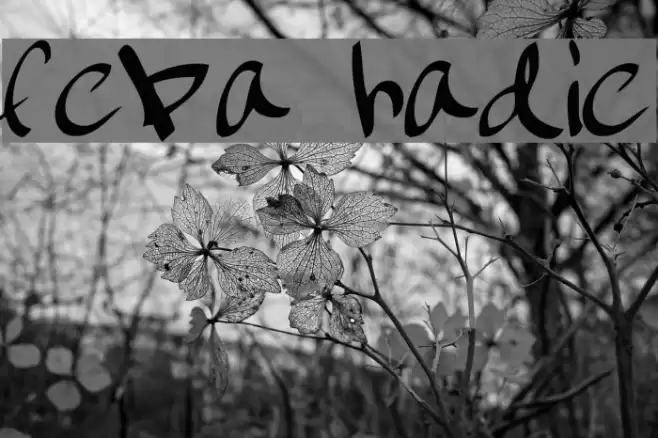 february handwritten Шрифта examples