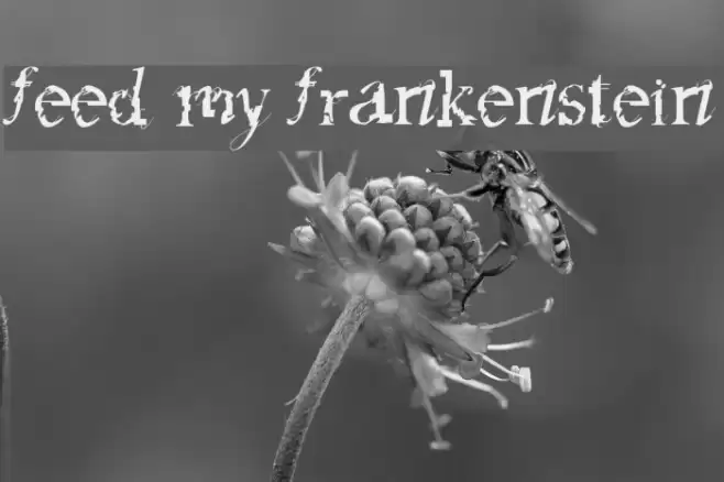 feed my frankenstein Font examples