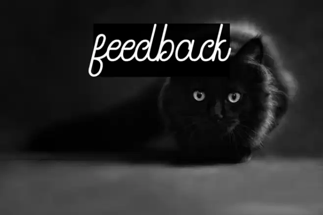 feedback Font examples