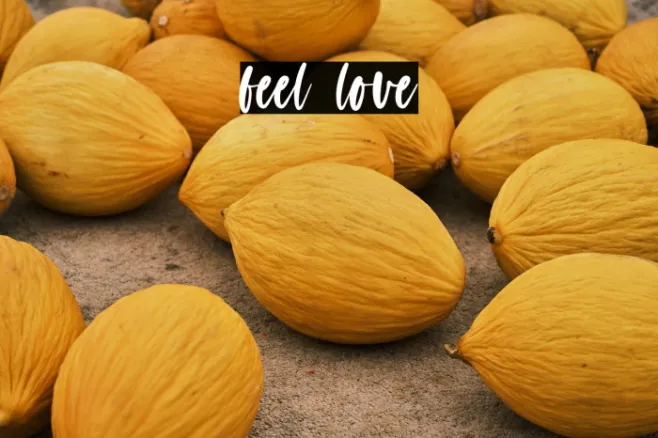 feel love Example 2