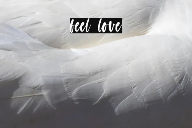 feel love Example 3