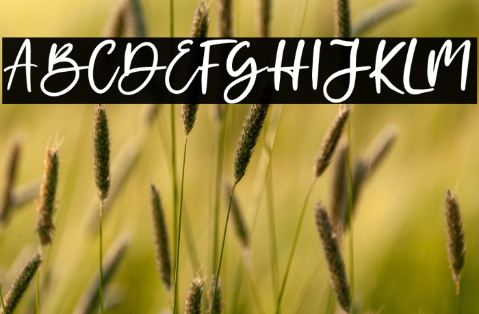 feeling lonely Example 3