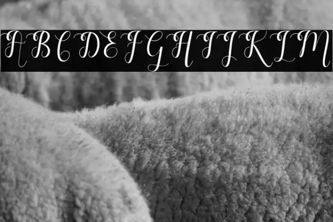 feeling Font examples