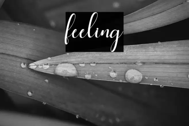 feeling Font examples