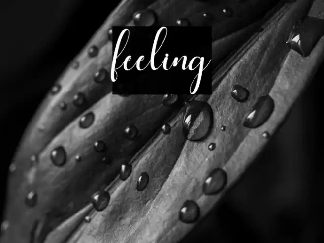 feeling Font examples