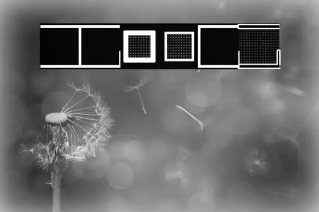 felder Font examples