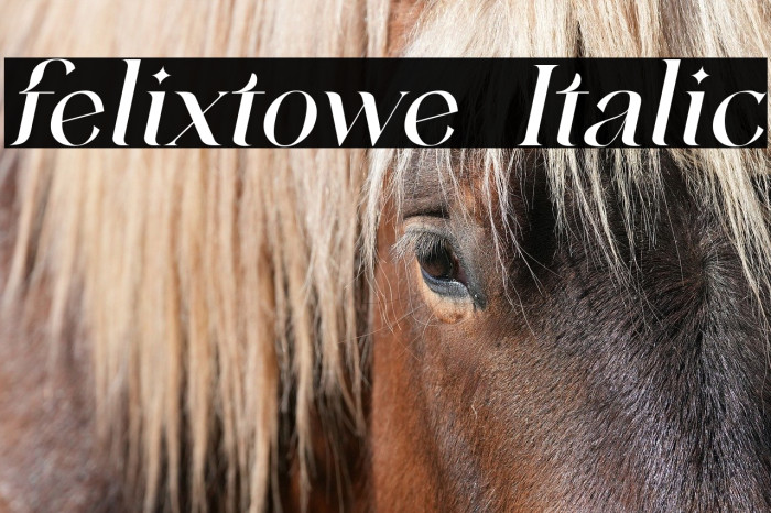 felixtowe Italic Example 1