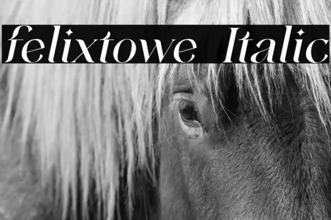 felixtowe Italic Font examples