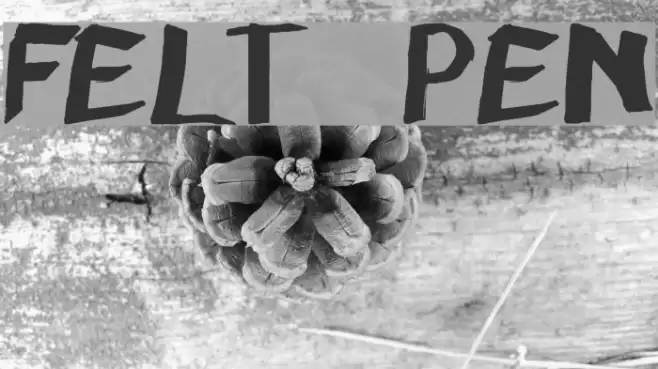 felt pen Font examples