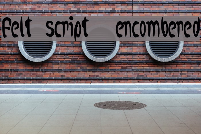 felt script  encombered Example 2